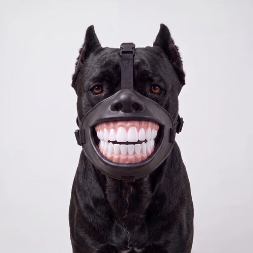 GrinPup™ Grin Muzzle